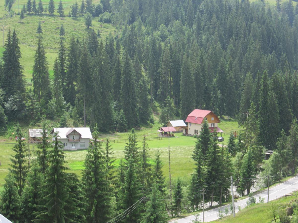 Cabana Georgiana Арьешени Экстерьер фото
